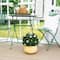 15in. UV Resistant Artificial Boxwood and Gardenia Topiary Plant (Indoor/Outdoor)